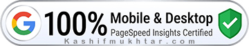 google-pagespeed-score-100- Google PageSpeed Insight scores 100%