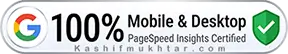 Google PageSpeed Insight scores 100%
